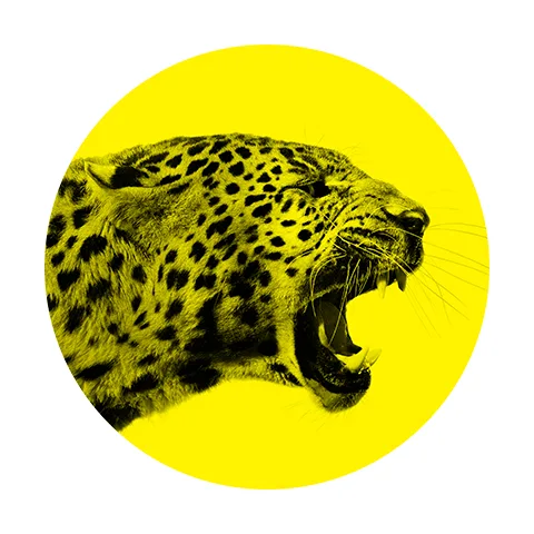 Locarno Film Festival